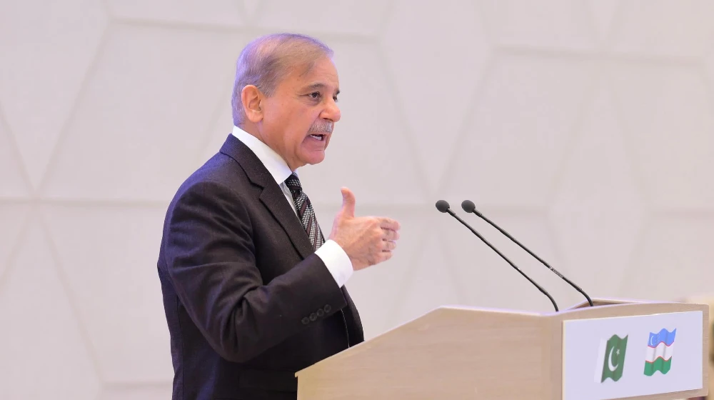 Ceasefire a milestone, but Palestinian statehood remains core objective: PM Sharif